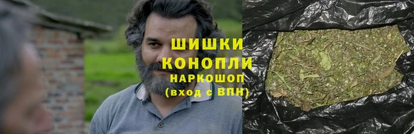 ПСИЛОЦИБИНОВЫЕ ГРИБЫ Лихославль