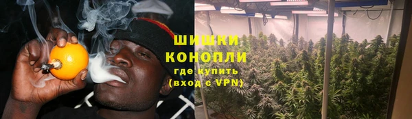 ПСИЛОЦИБИНОВЫЕ ГРИБЫ Лихославль