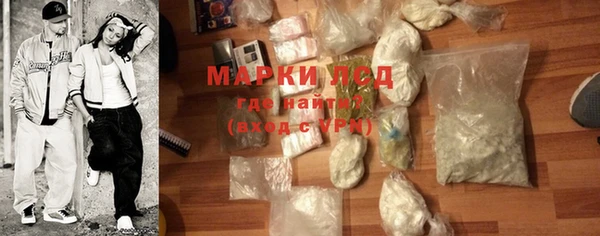 ПСИЛОЦИБИНОВЫЕ ГРИБЫ Лихославль