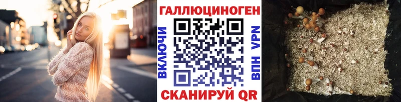 где можно купить наркотик  shop Telegram  Псилоцибиновые грибы Psilocybine cubensis  Сердобск 