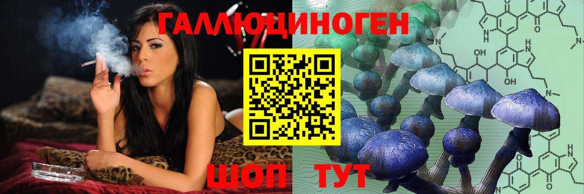 Псилоцибиновые грибы Cubensis Сердобск